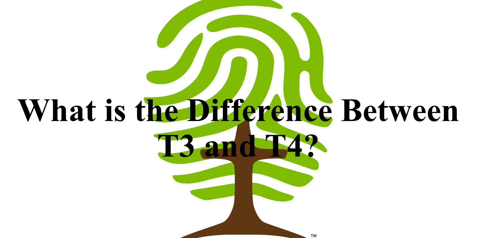 What-is-the-Difference-Between-T3-and-T4-1526×763