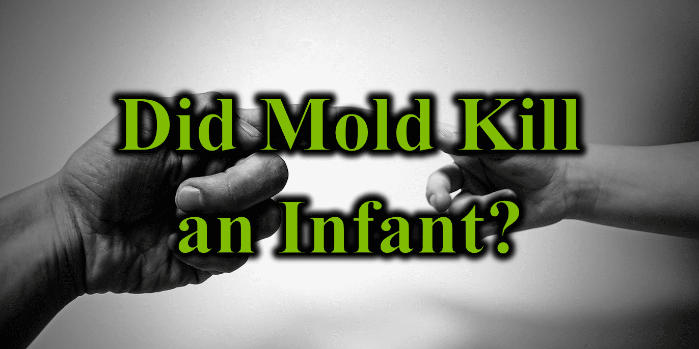 Did Mold Kill an Infant