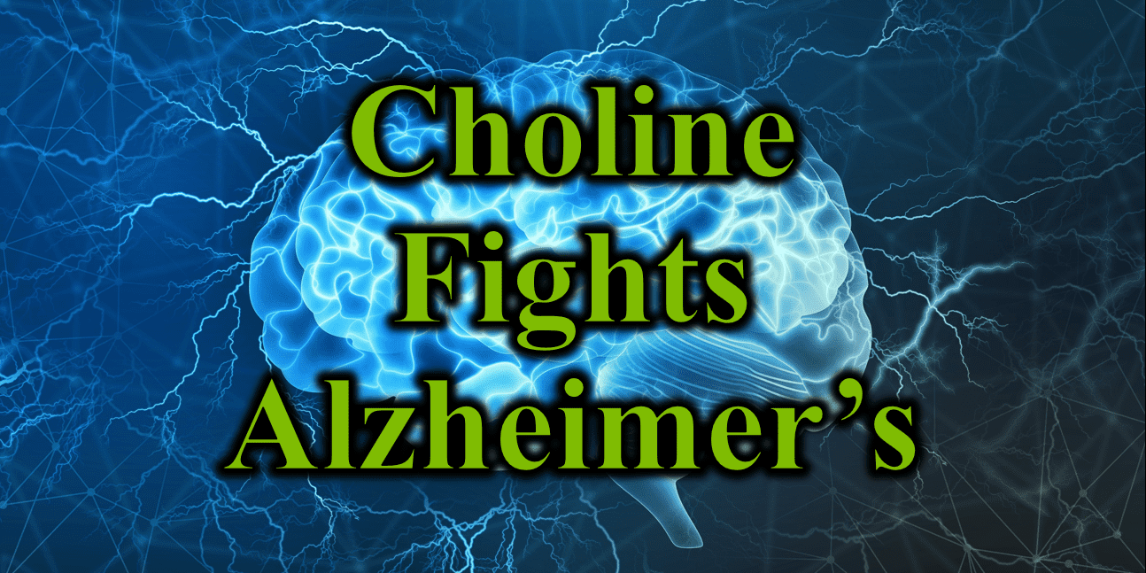 Choline Makes The Headlines for Brain Health Sanctuary Functional