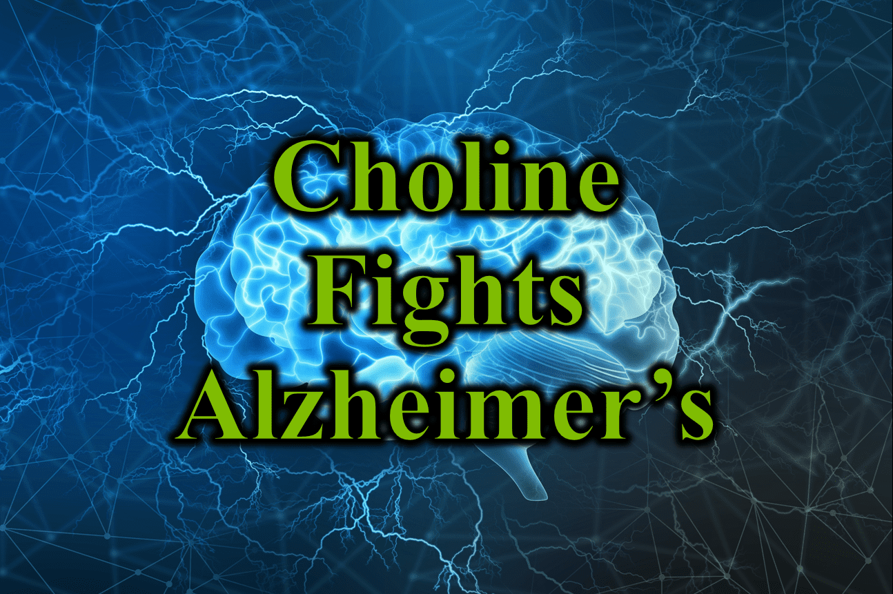 Choline Makes The Headlines for Brain Health Sanctuary Functional