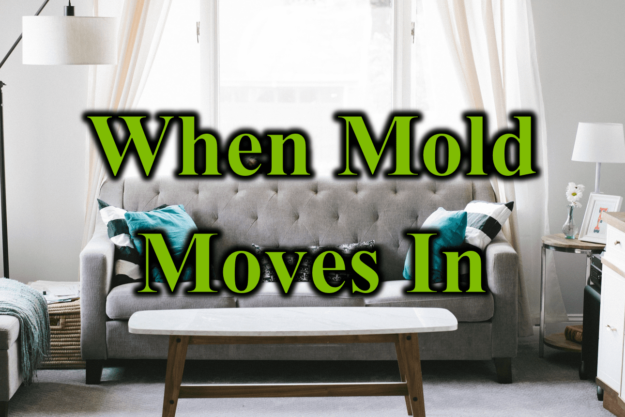When Mold Moves In