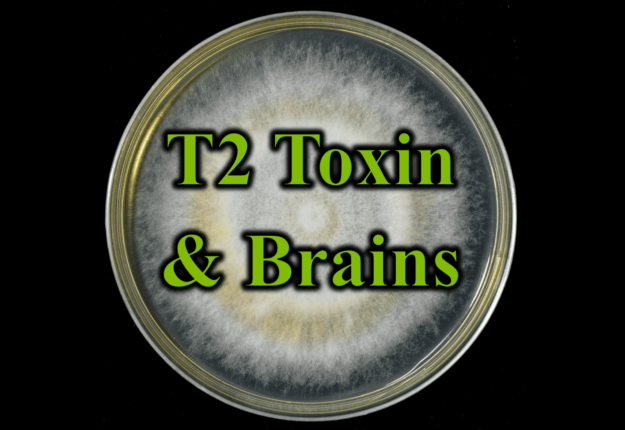 T2 Toxin and Brains
