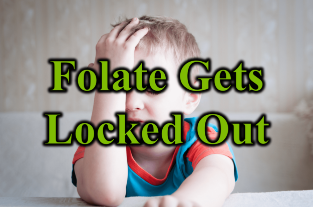 Folate Gets Locked Out