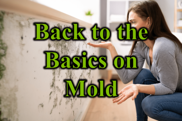 Back to the Basics on Mold