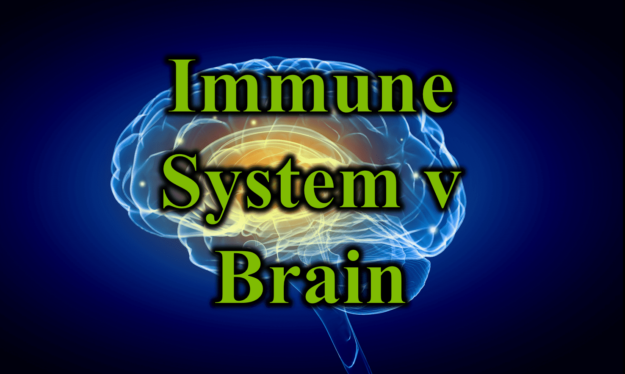 Immune System v Brain