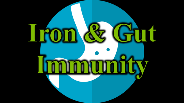 Iron & Gut Immunity