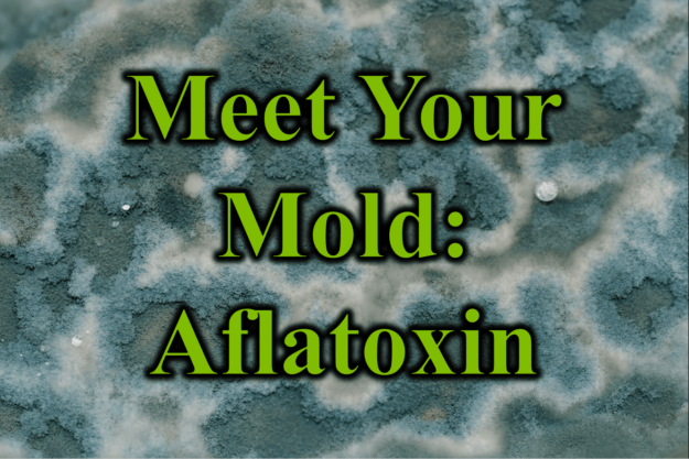 Meet Your Mold Aflatoxin
