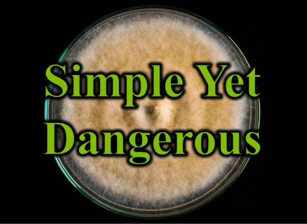Simple Yet Dangerous