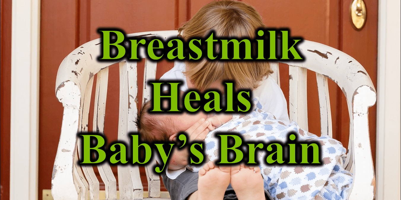 Breastmilk Heals Babys Brain