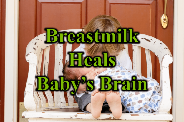 Breastmilk Heals Babys Brain