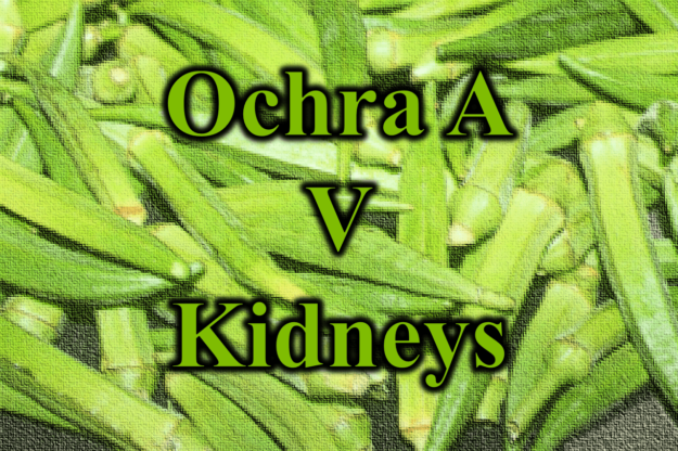 Ochra A V Kidneys