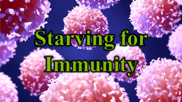 Starving for Immunity