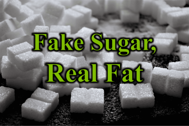 Fake Sugar Real Fat