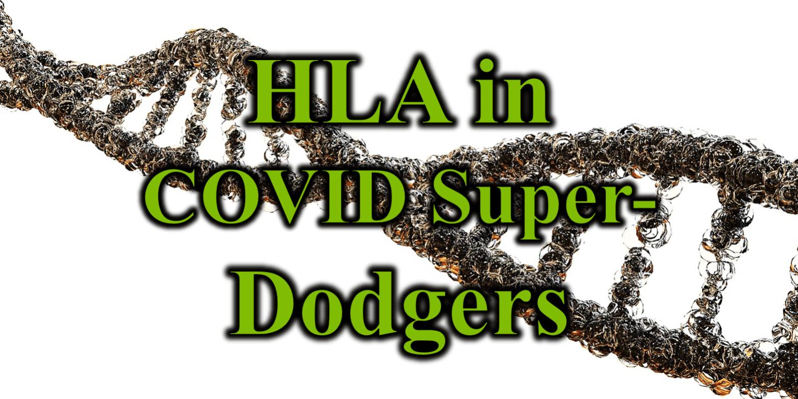 HLA in COVID Super-Dodgers