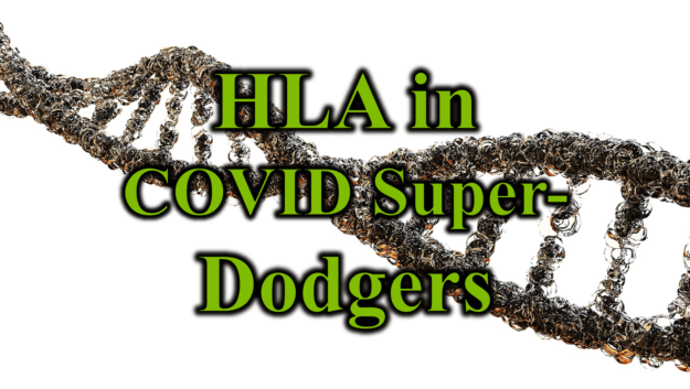 HLA in COVID Super-Dodgers