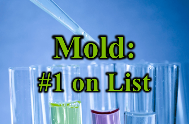 Mold #1 on List