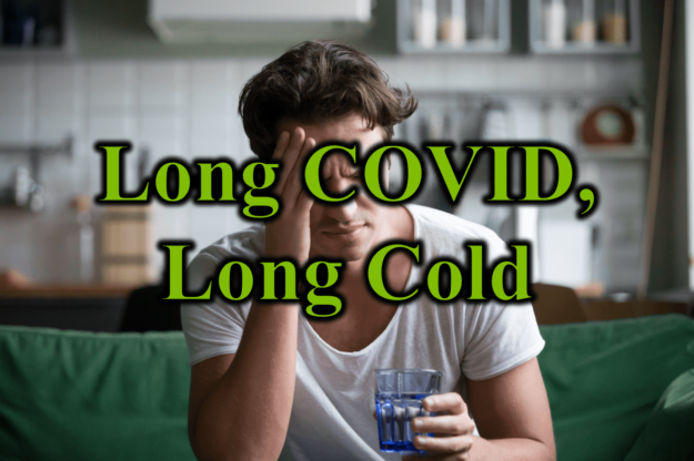 Long COVID Long Cold