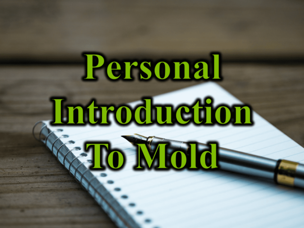 Personal Introduction to Mold