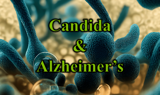 Candida & Alzheimer’s