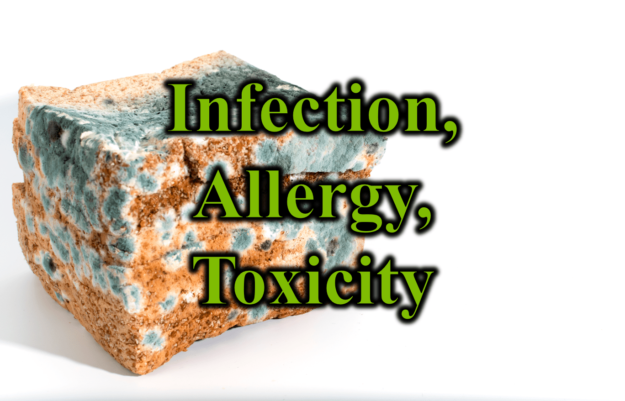 Infection Allergy Toxicity