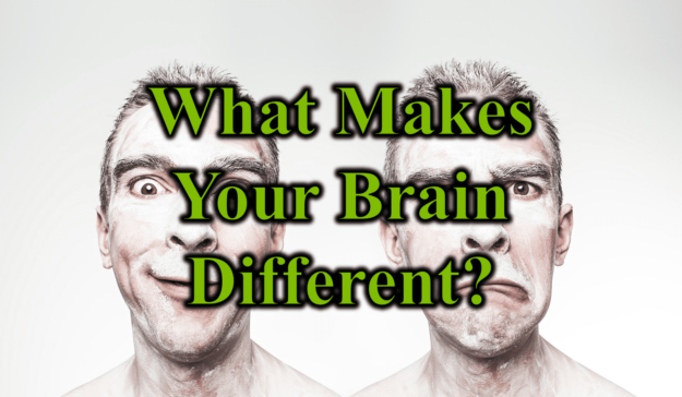 What Makes Your Brain Different