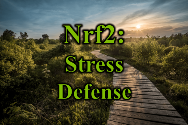 Nrf2 Stress Defense