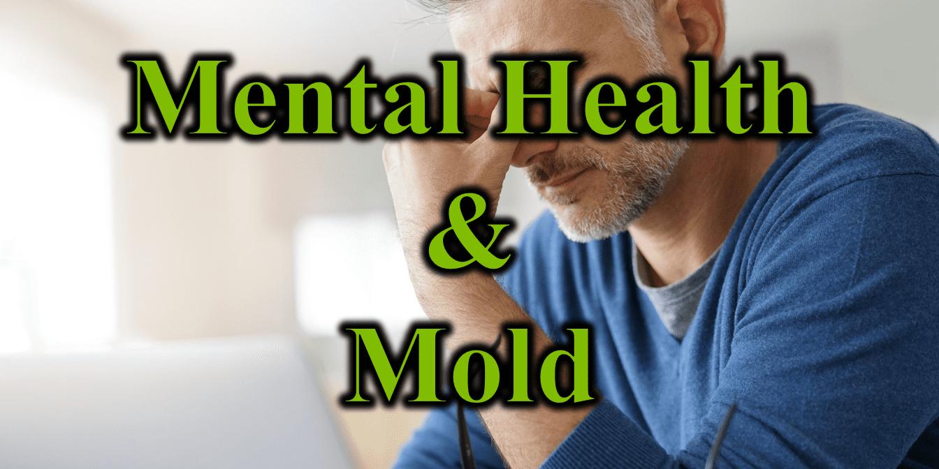 Mental Health & Mold