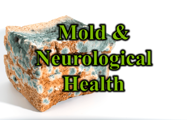Mold and Neurological Health