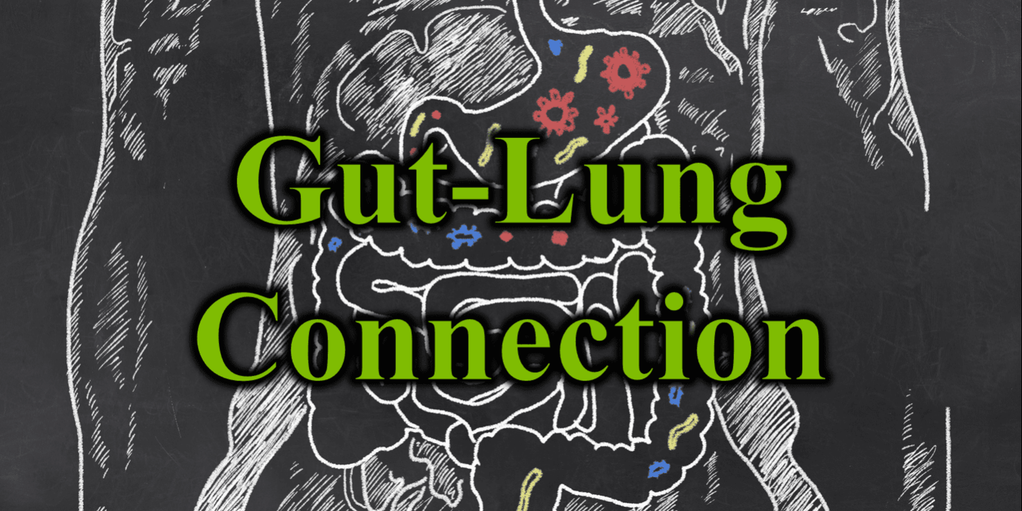 Gut Lung Connection