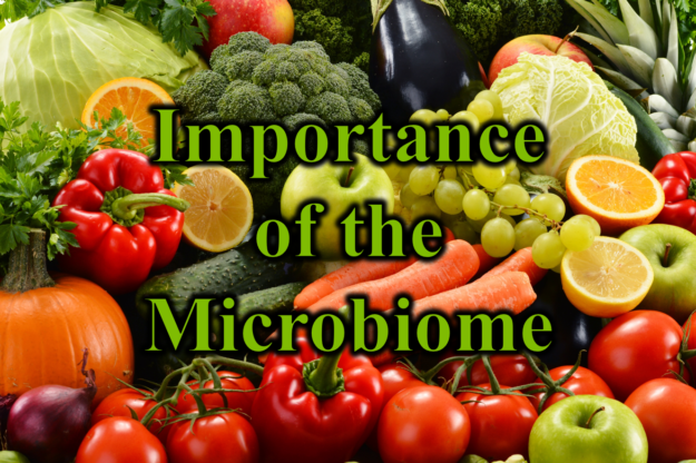 Importance of the Microbiome