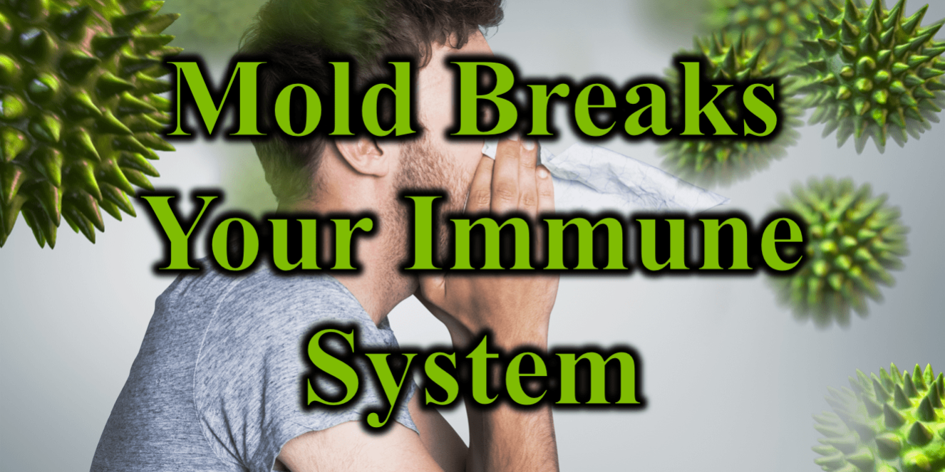 Mold Breaks Your Immune System
