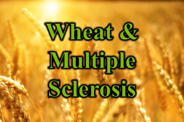 Wheat and Multiple Sclerosis