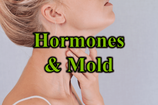 Hormones and Mold