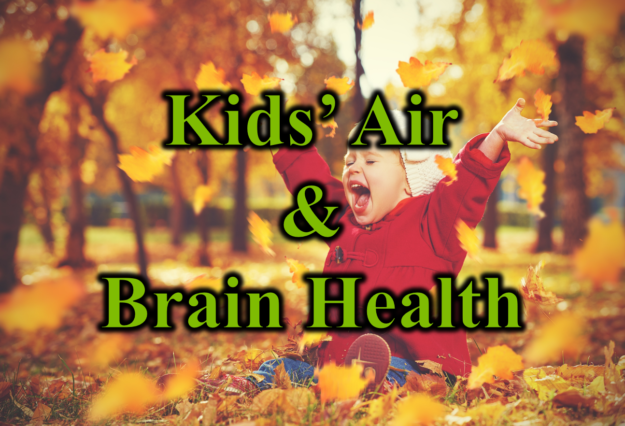 Kids Air & Brain Health