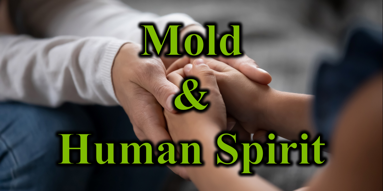 Mold & Human Spirit