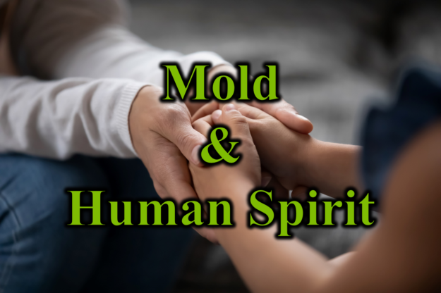 Mold & Human Spirit
