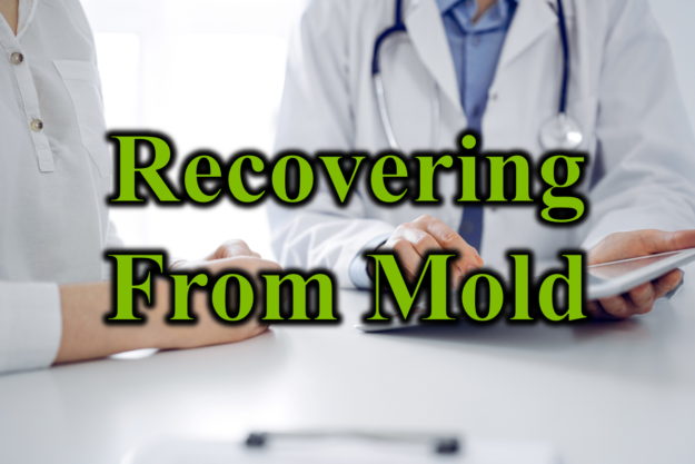 Recovering from Mold