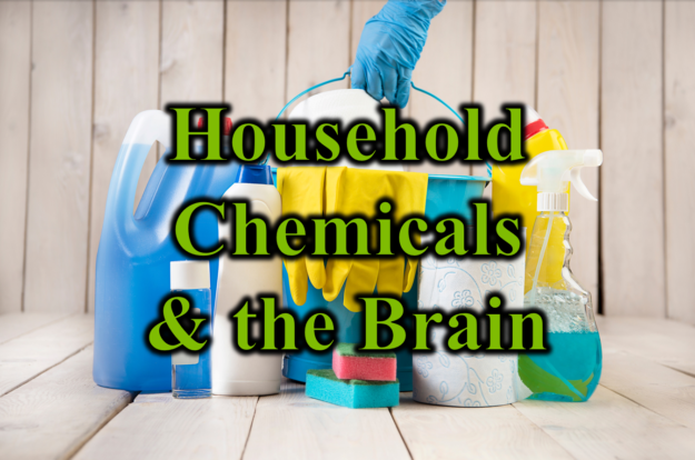 Household Chemicals and the Brain