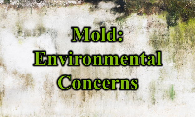 Mold Environmental Concerns