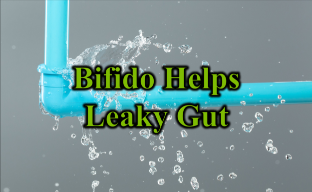 Bifido Helps Leaky Gut