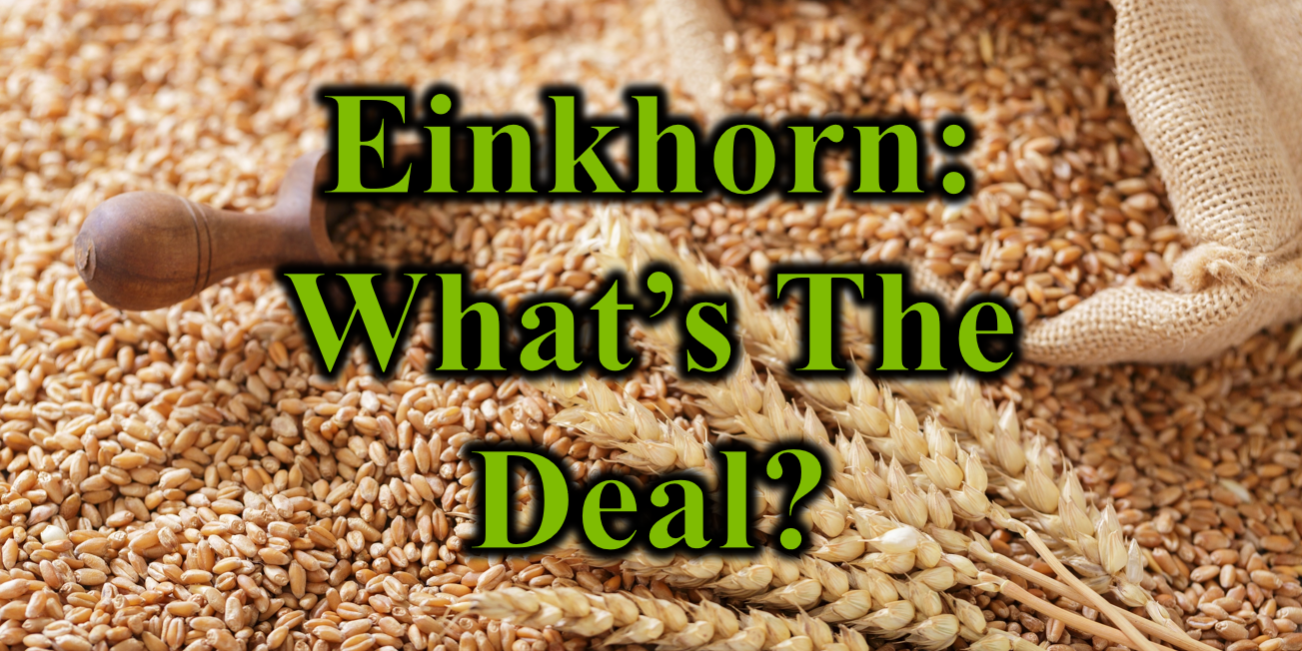 Einkhorn Whats the Deal