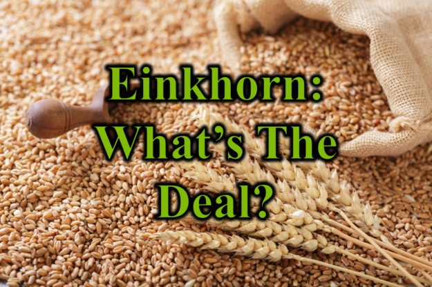 Einkhorn Whats the Deal