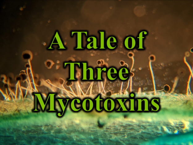 A Tale of Three Mycotoxins