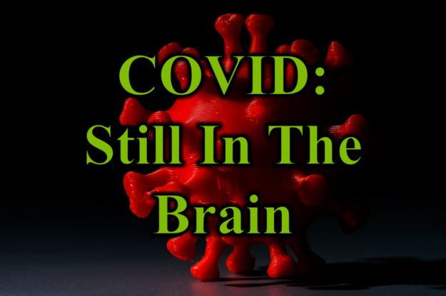 COVID Still in the Brain
