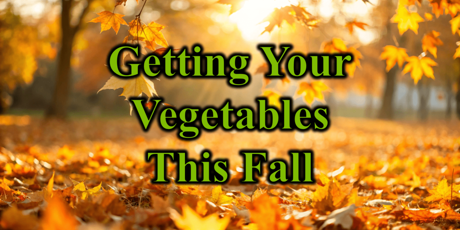 Getting Your Vegetables This Fall