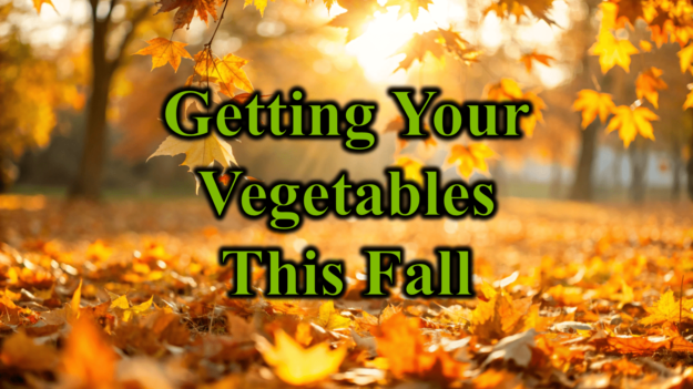 Getting Your Vegetables This Fall