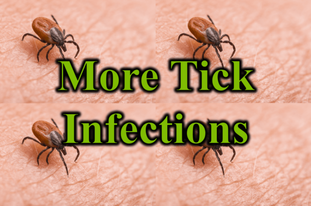 More Tick Infections