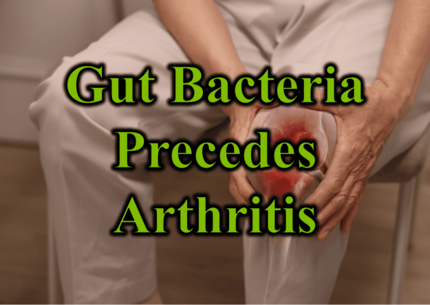 Gut Bacteria Precedes Arthritis