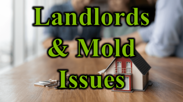 Landlord & Mold Issues