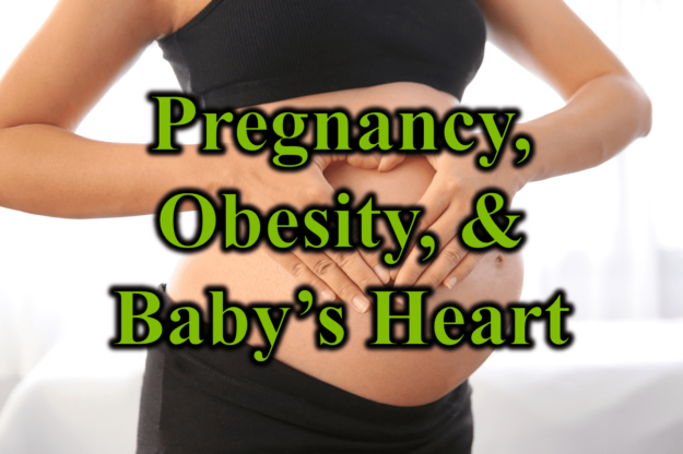 Pregnancy Obesity and Baby’s Heart